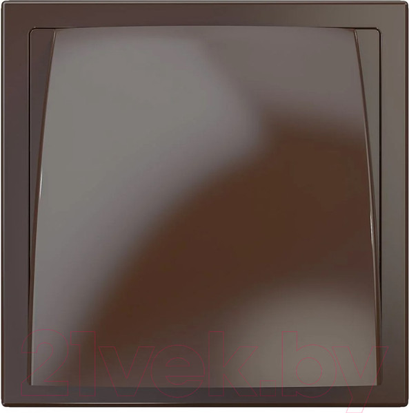 Изображение товара Решетка вентиляционная ERA 1515К10ФВ с выходом (коричневый)