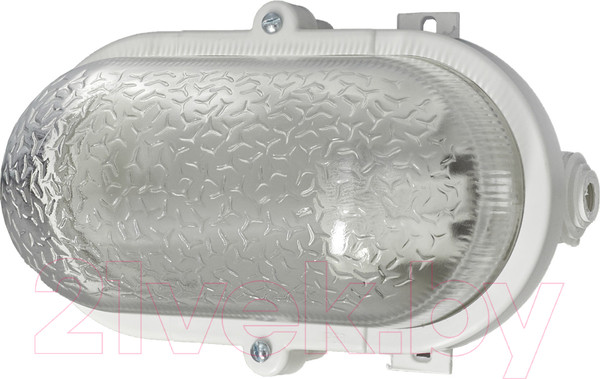 Изображение товара Светильник ЖКХ ЭРА Гранат / Б0052016