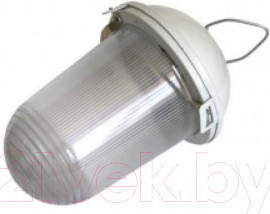 Изображение товара Светильник ЖКХ ЭРА Желудь / Б0052017