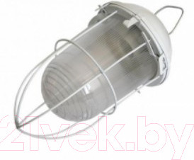 Изображение товара Светильник ЖКХ ЭРА Желудь / Б0052019