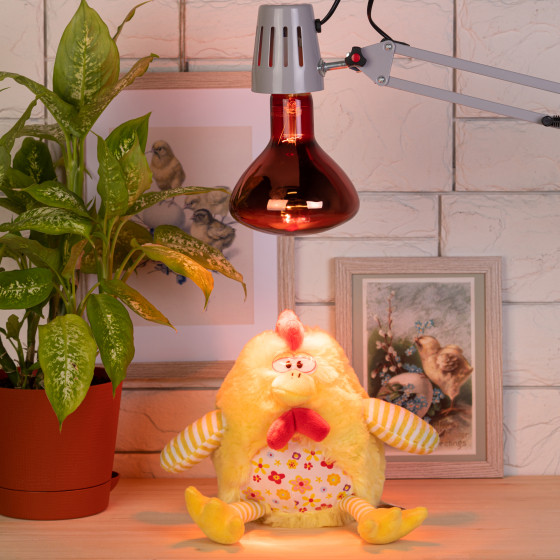 Изображение товара Лампа для растений ЭРА ИКЗК 220-250 R127 / Б0042980