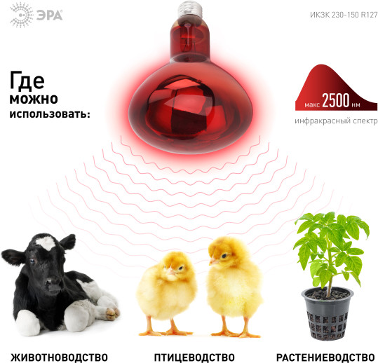Изображение товара Лампа для растений ЭРА ИКЗК 230-150 R127 / Б0042981