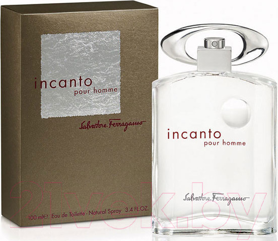 Изображение товара Туалетная вода Salvatore Ferragamo Incanto Pour Homme (100мл)