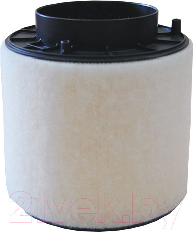 Изображение товара Воздушный фильтр Filtron AK371/5