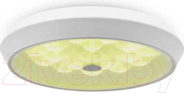 Изображение товара Потолочный светильник Freya FR10012CL-L24W (белый)