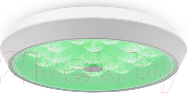 Изображение товара Потолочный светильник Freya FR10012CL-L24W (белый)