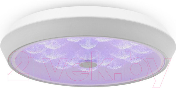 Изображение товара Потолочный светильник Freya FR10012CL-L24W (белый)