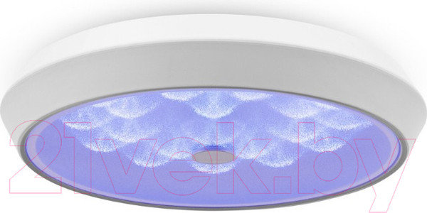 Изображение товара Потолочный светильник Freya FR10012CL-L24W (белый)