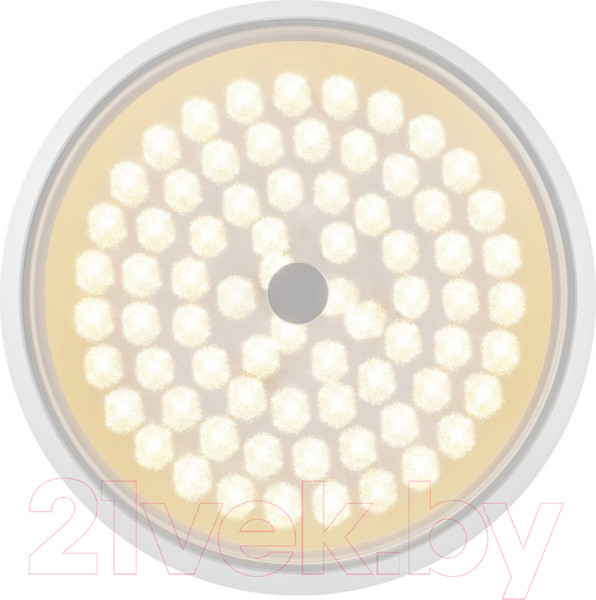 Изображение товара Потолочный светильник Freya FR10012CL-L24W (белый)