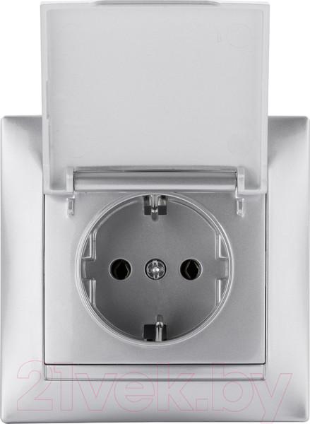 Изображение товара Розетка TDM Лама SQ1815-0226 (серебристый металлик)