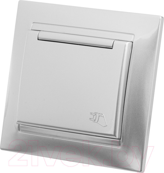 Изображение товара Розетка TDM Лама SQ1815-0226 (серебристый металлик)