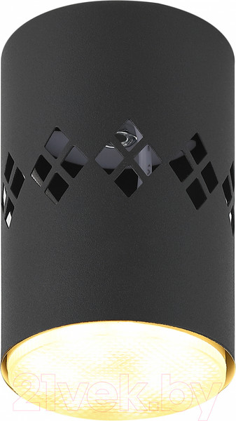 Изображение товара Точечный светильник ЭРА OL10 LD GX53 BK / Б0050268