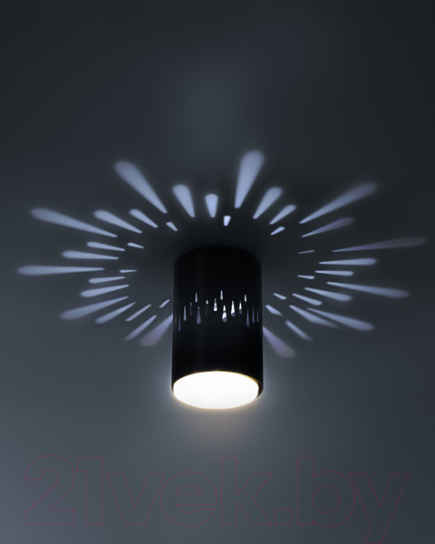 Изображение товара Точечный светильник ЭРА OL11 LD GX53 BK / Б0050270