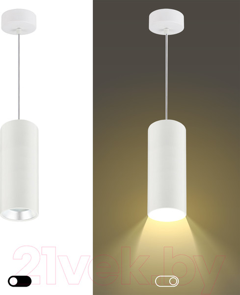 Изображение товара Потолочный светильник ЭРА PL12 GX53 WH/SL / Б0048543
