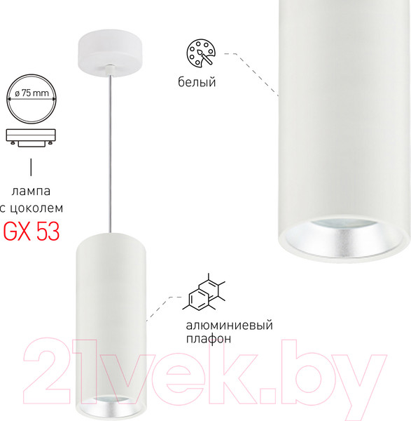 Изображение товара Потолочный светильник ЭРА PL12 GX53 WH/SL / Б0048543