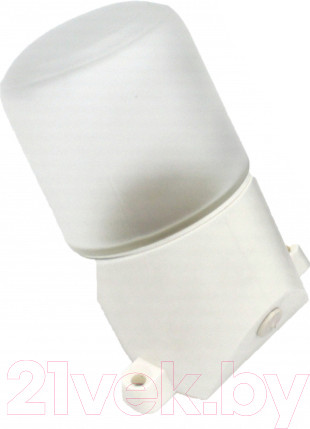 Изображение товара Светильник ЖКХ ЭРА НББ 01-60-002 / Б0048407