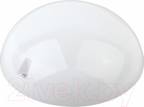 Изображение товара Светильник ЖКХ ЭРА Сириус НБП 06-60-002 / Б0048408