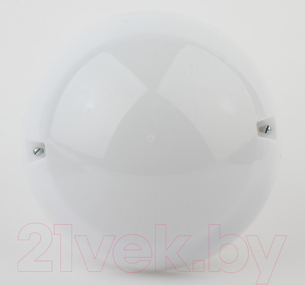 Изображение товара Светильник ЖКХ ЭРА Сириус НБП 06-60-002 / Б0048408