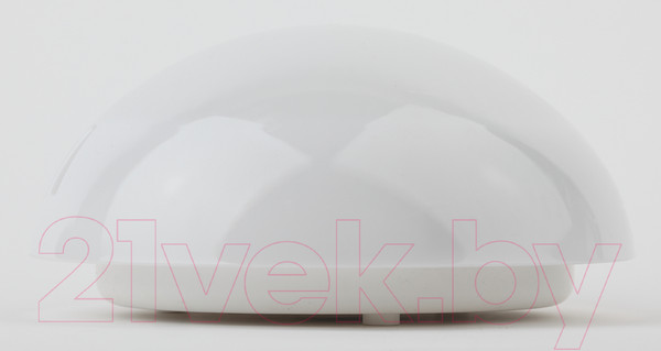 Изображение товара Светильник ЖКХ ЭРА Сириус НБП 06-60-002 / Б0048408