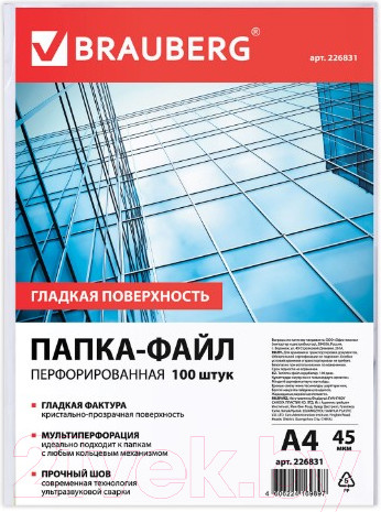 Изображение товара Набор файлов Brauberg 226831 (100шт)