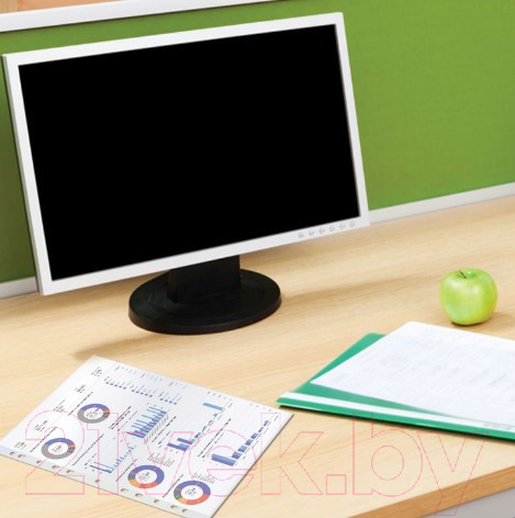 Изображение товара Набор файлов Brauberg 226831 (100шт)