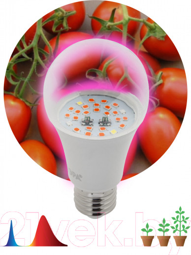 Изображение товара Лампа для растений ЭРА FITO-10W-RB-E27 / Б0050600