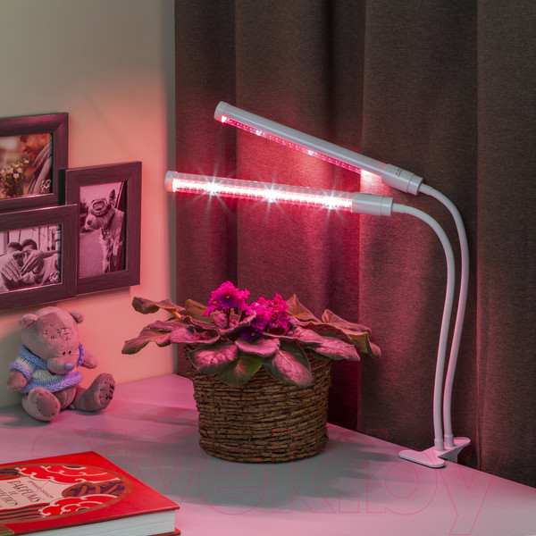 Изображение товара Светильник для растений ЭРА FITO-20W-АLED-L / Б0049550