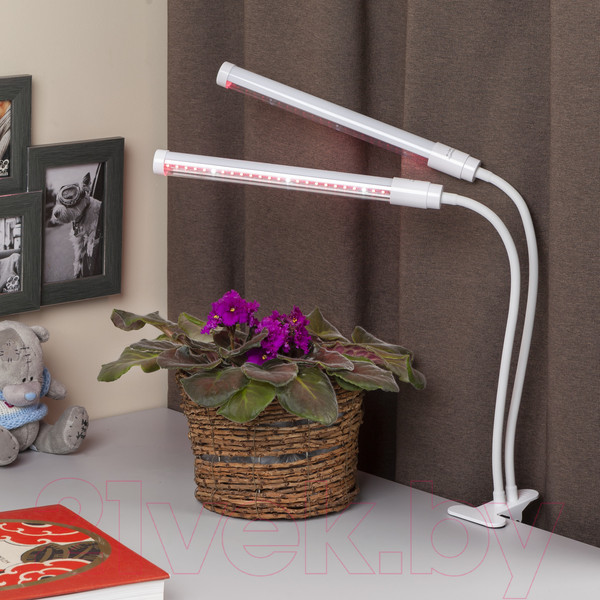 Изображение товара Светильник для растений ЭРА FITO-20W-АLED-L / Б0049550