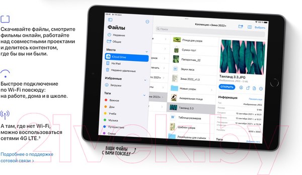Изображение товара Планшет Apple iPad 9 Gen 10.2 Wi-Fi 64GB A2602 / MK2K3 (серый космос)