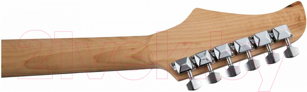 Изображение товара Электрогитара Terris Tpack-1 BK + комбик, чехол, стойка, тюнер