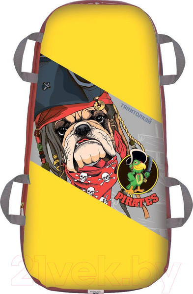 Изображение товара Санки-ледянка Тяни-Толкай ЛДМД-300 (Pirates)