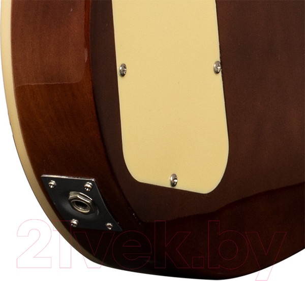 Изображение товара Электрогитара Stagg SEL-STD Gold