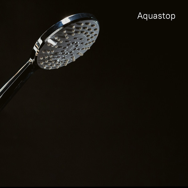 Изображение товара Лейка ручного душа IDDIS 0605F00I19