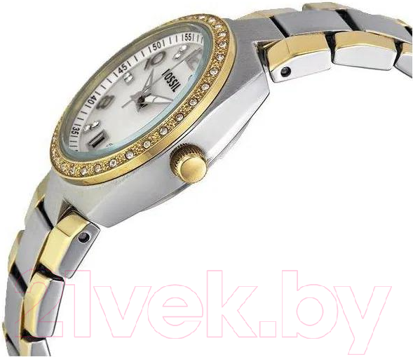 Изображение товара Часы наручные женские Fossil AM4183