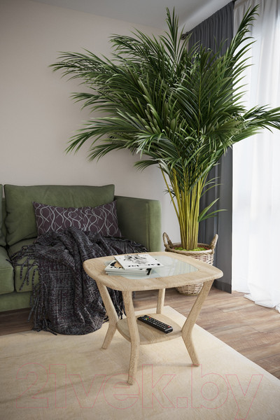 Изображение товара Журнальный столик Калифорния мебель Мельбурн (дуб сонома)