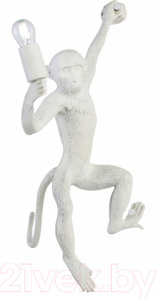 Изображение товара Бра Evoluce Tenato SLE115111-01