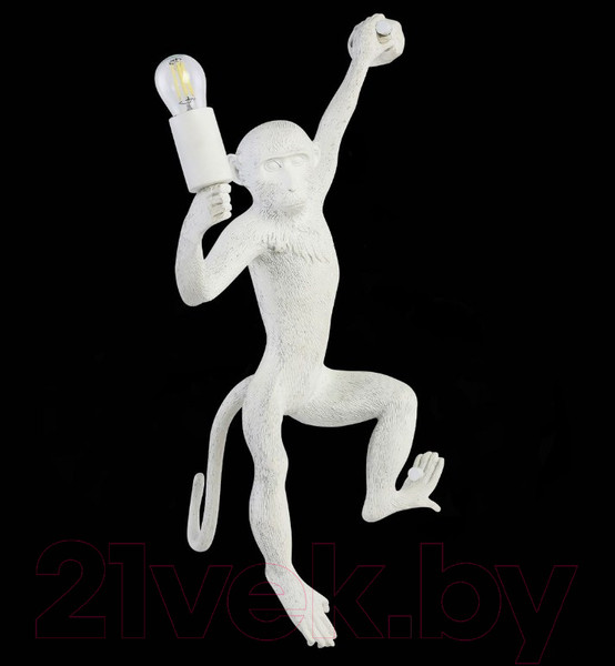 Изображение товара Бра Evoluce Tenato SLE115111-01