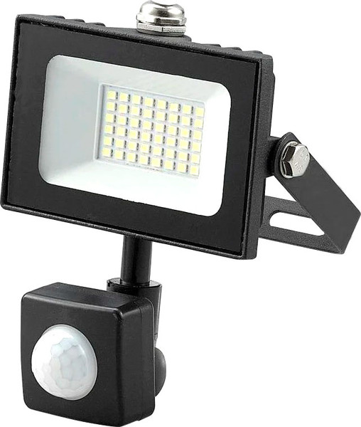 Изображение товара Прожектор General Lighting GTAB-IFR-30Вт-IP65-6500 / 403134