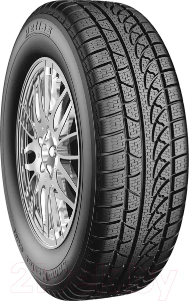 Изображение товара Зимняя шина Petlas Snowmaster W651 215/45R18 93V