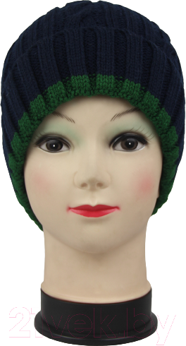 Изображение товара Шапка детская Polesie 8С0530-Д43 (синий, р. 53)