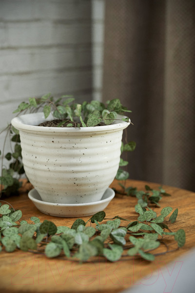 Изображение товара Журнальный столик Калифорния мебель РИД 430 (дуб американский)