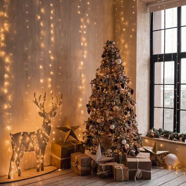 Изображение товара Световой занавес Евросвет 200-004 (теплый белый)