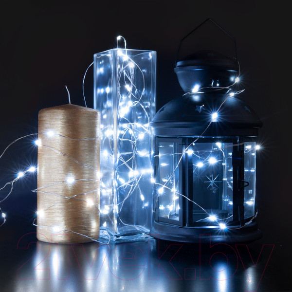 Изображение товара Световой занавес Евросвет 200-004 (белый)