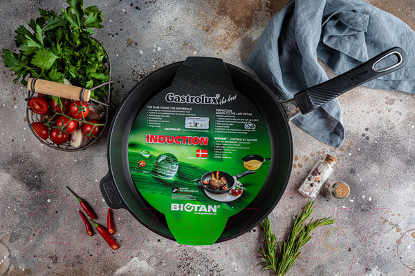 Изображение товара Сковорода Gastrolux A17-220