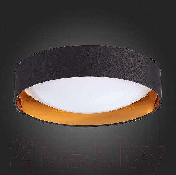 Изображение товара Потолочный светильник Evoluce Orbio SLE201102-01