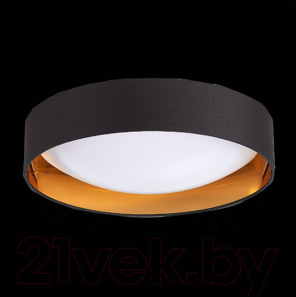 Изображение товара Потолочный светильник Evoluce Orbio SLE201102-01