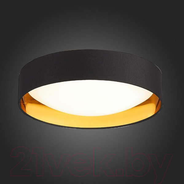 Изображение товара Потолочный светильник Evoluce Orbio SLE201102-01