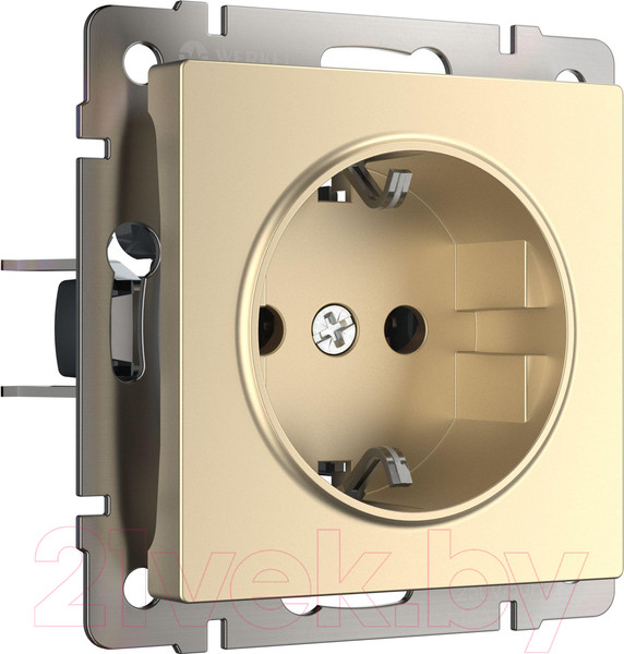 Изображение товара Розетка Werkel W1171011 / a050867 (шампань)