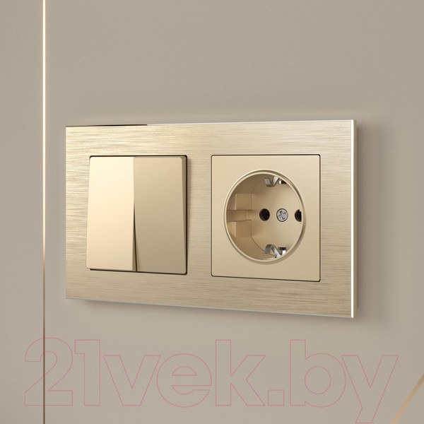 Изображение товара Розетка Werkel W1171011 / a050867 (шампань)