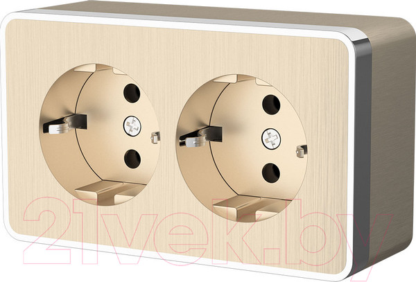 Изображение товара Розетка Werkel Gallant W5072110 / a051037 (шампань рифленый)